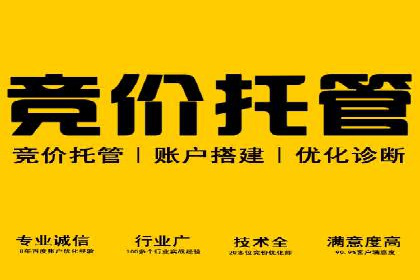 SEM广告投放优化：从失败到成功的转变案例